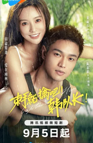 Дорама Сдавайся, капитан Хань! онлайн